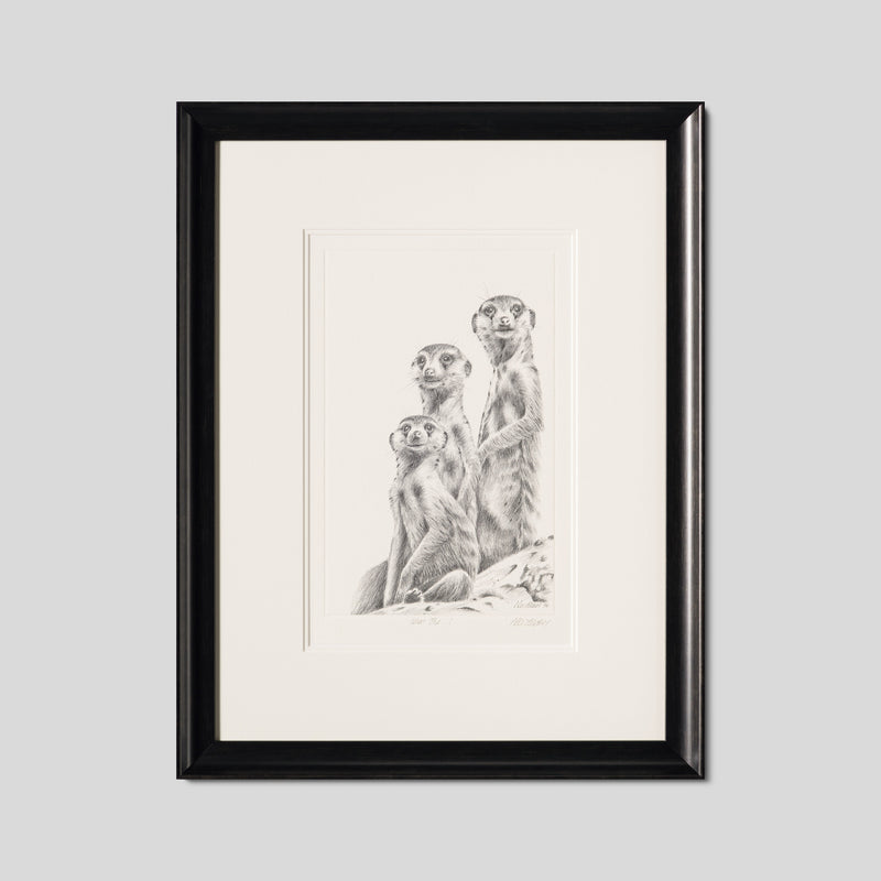 PHI SLE WWL 12982 What The 1