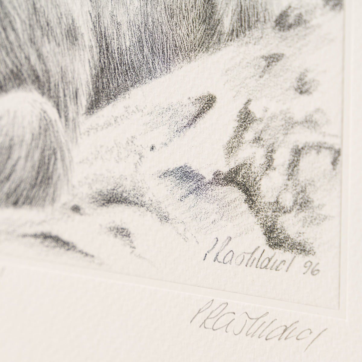 PHI SLE WWL 12982 What The 3