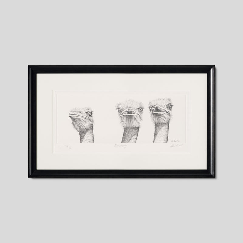 PHI SLE WWL 12984 Two s Company Pete 1