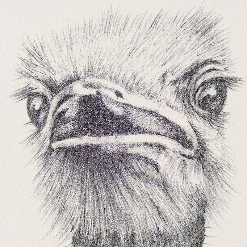 PHI SLE WWL 12984 Two s Company Pete 2