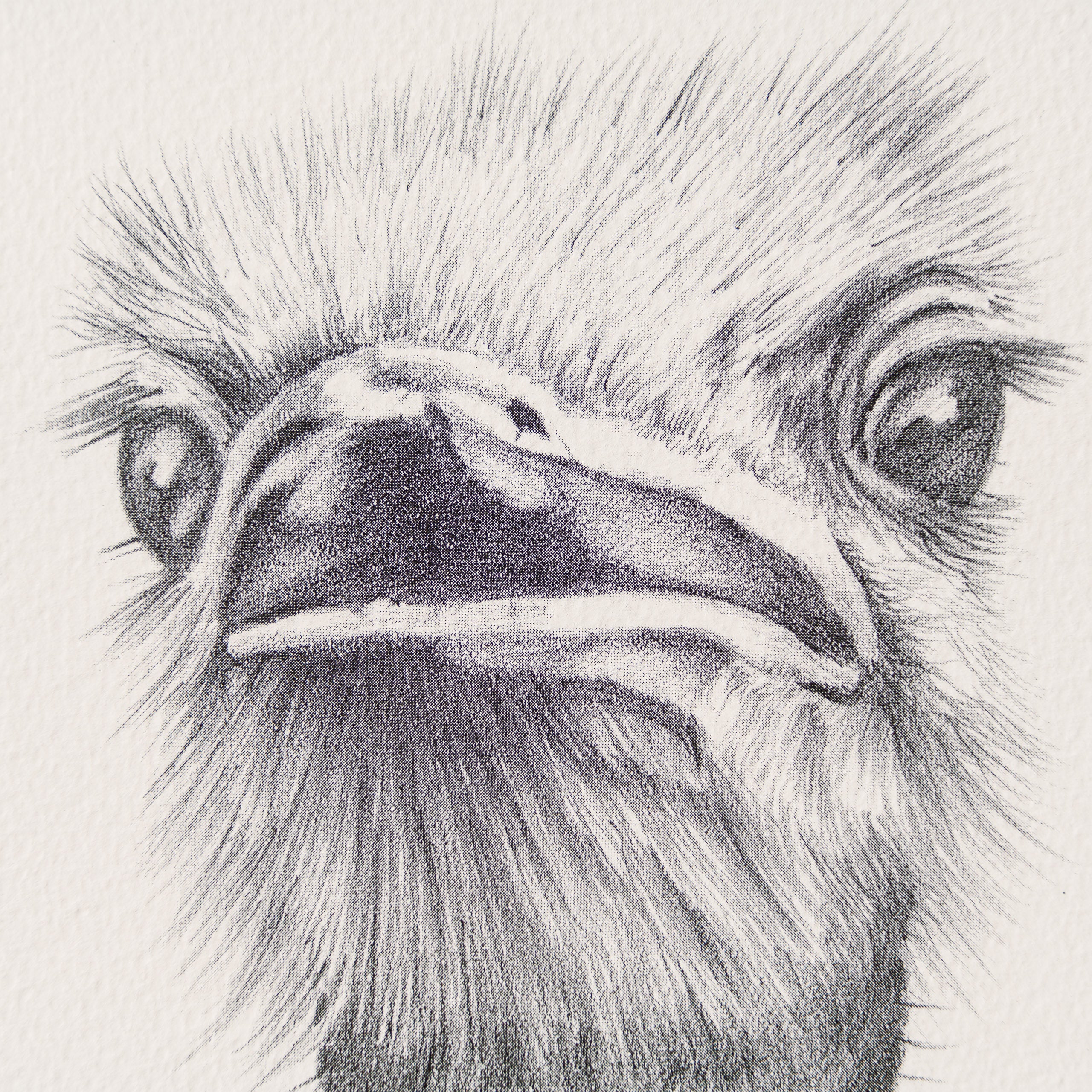 PHI SLE WWL 12984 Two s Company Pete 2