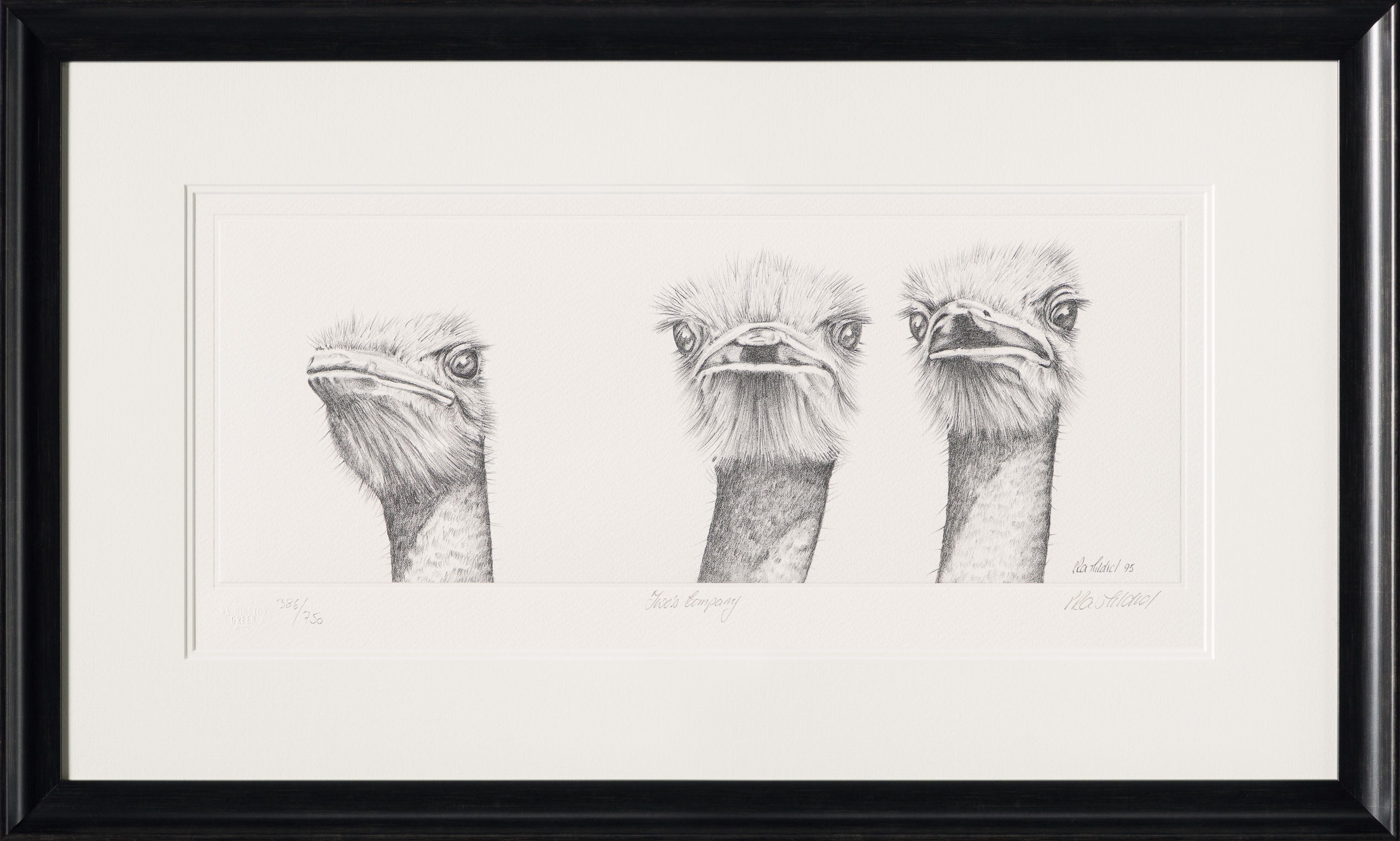 PHI SLE WWL 12984 Two s Company Pete 30