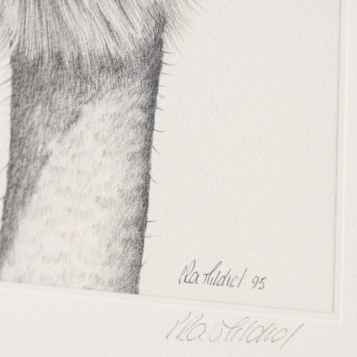 PHI SLE WWL 12984 Two s Company Pete 4