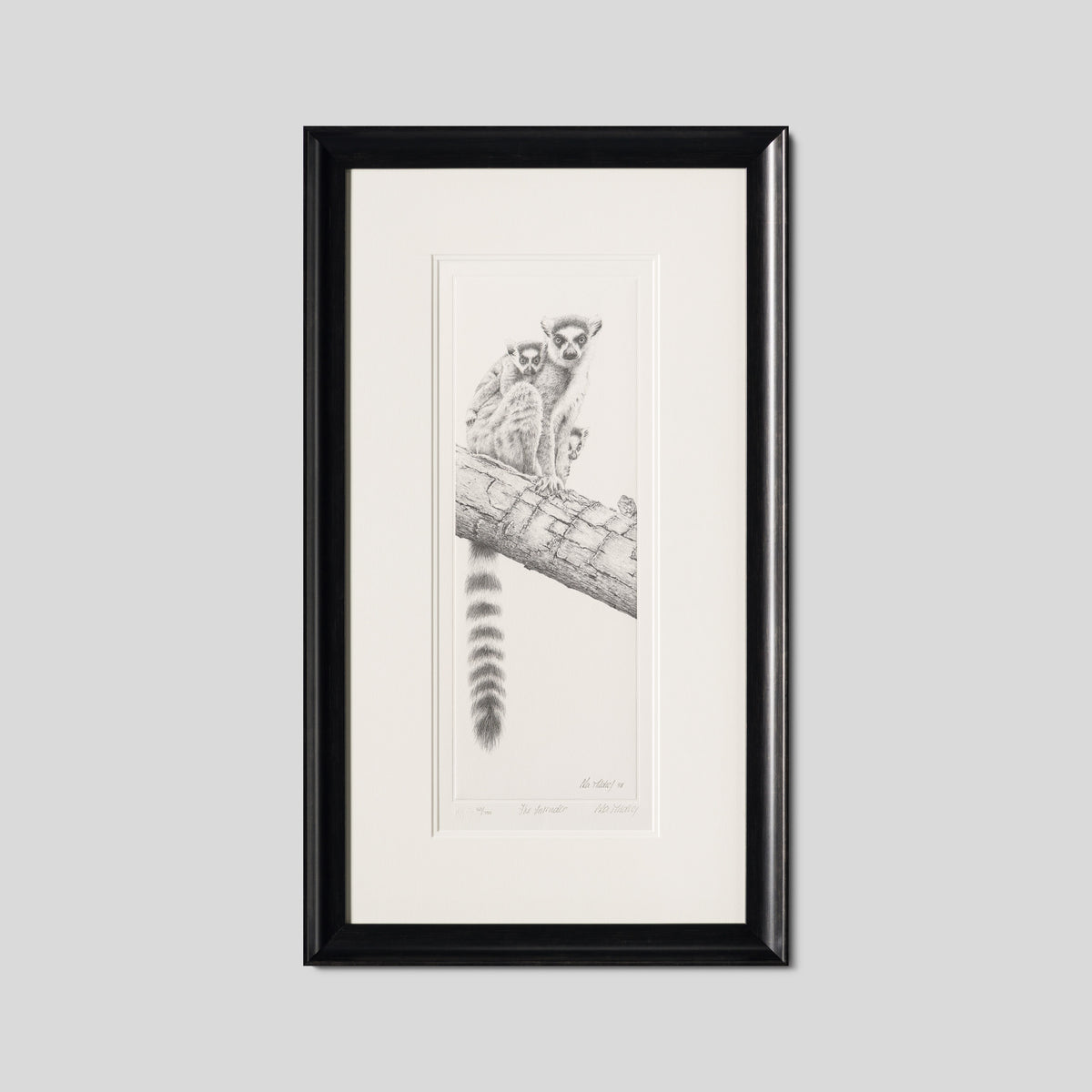 PHI SLE WWL 13593 The Intruder P Hil 1