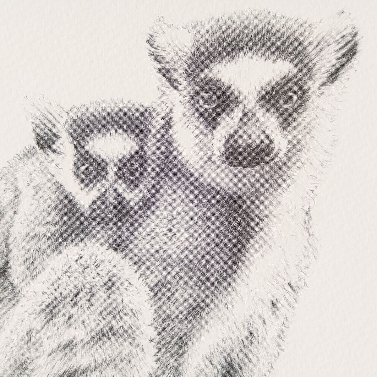 PHI SLE WWL 13593 The Intruder P Hil 2