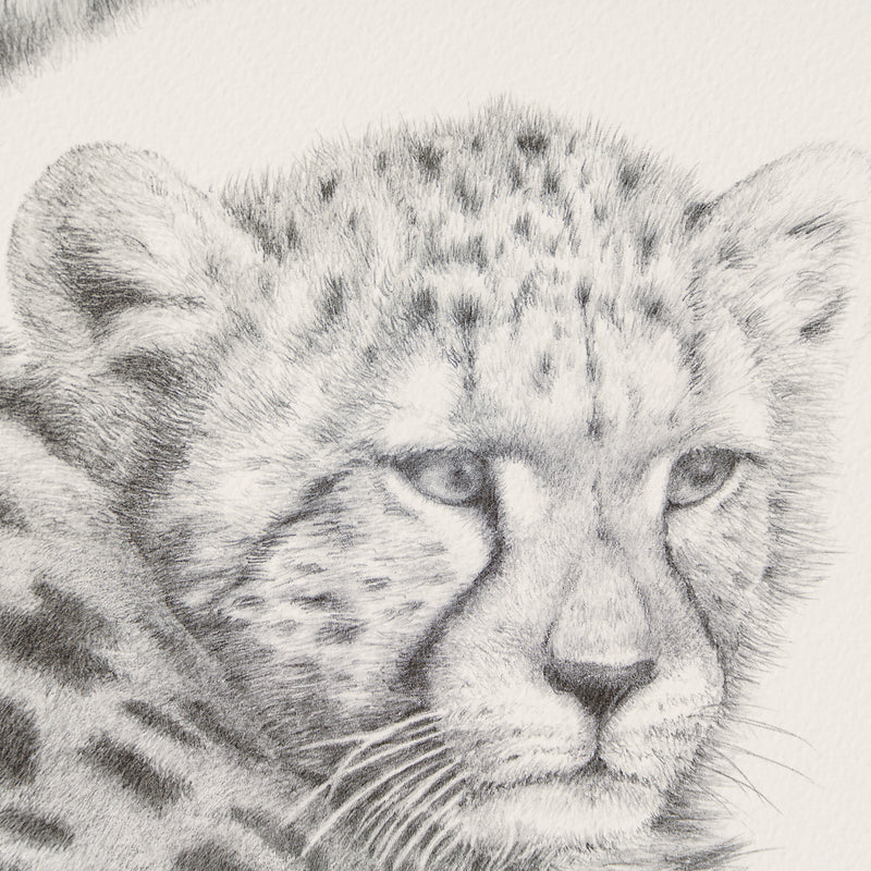 PHI SLE WWL 13594 Mothers Pride P Hi 3