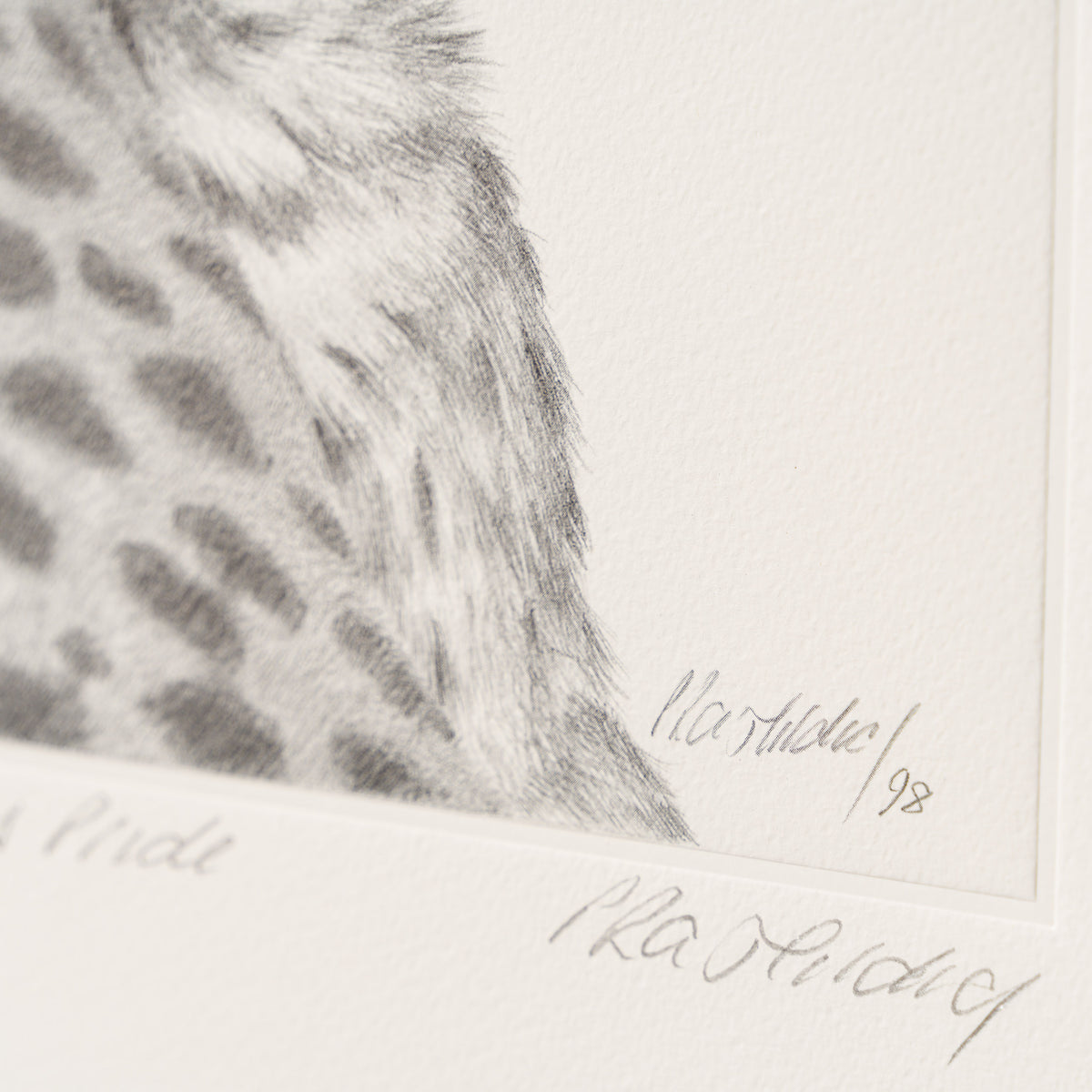 PHI SLE WWL 13594 Mothers Pride P Hi 4