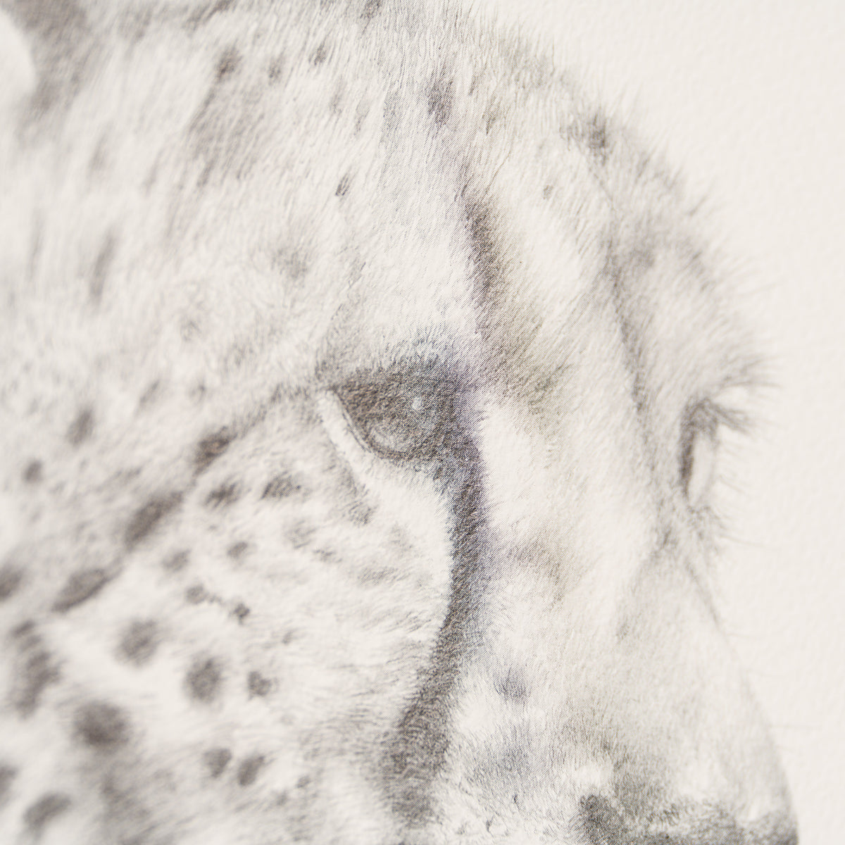 PHI SLE WWL 13594 Mothers Pride P Hi 5