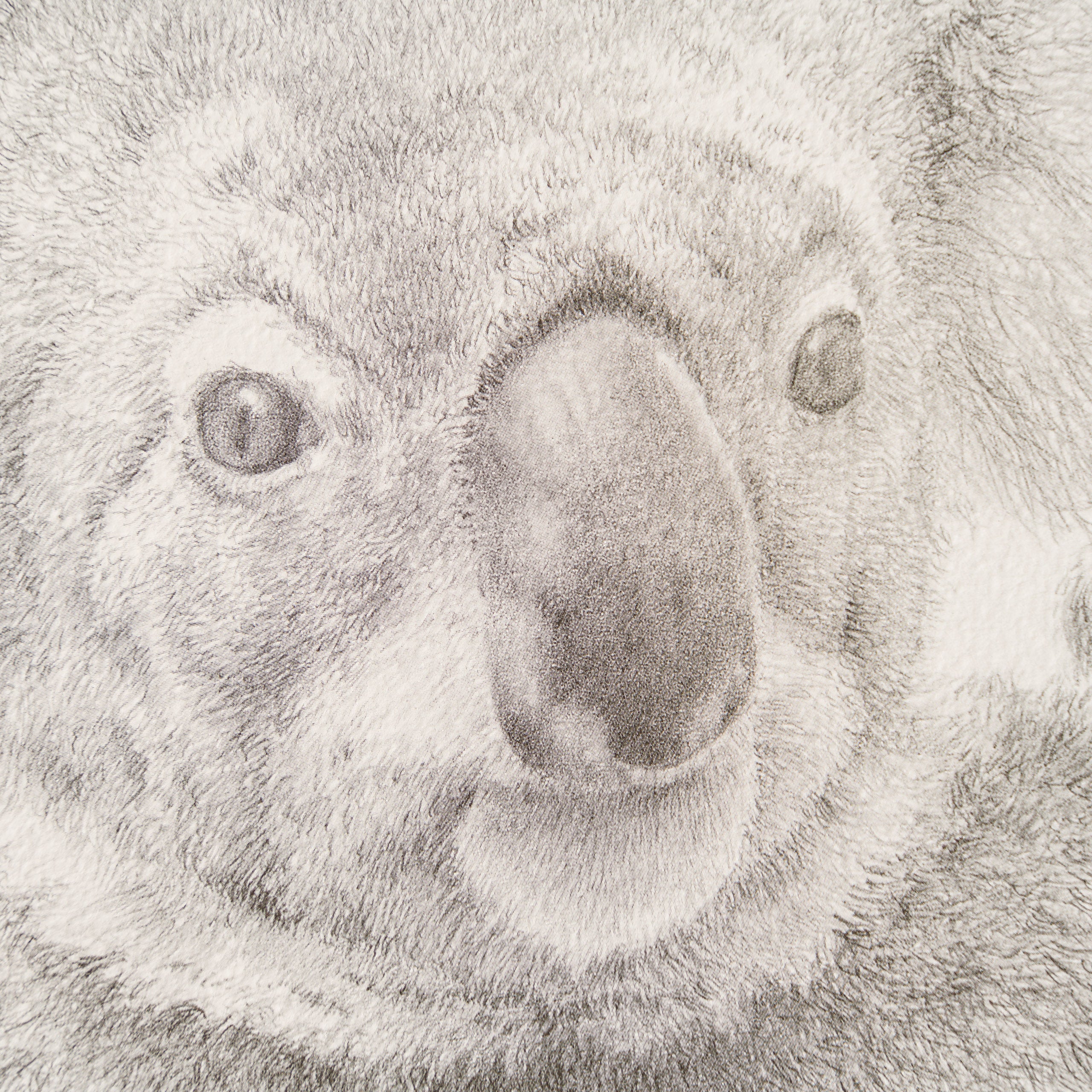 PHI SLE WWL 14201 Backpacker P Hildi 2