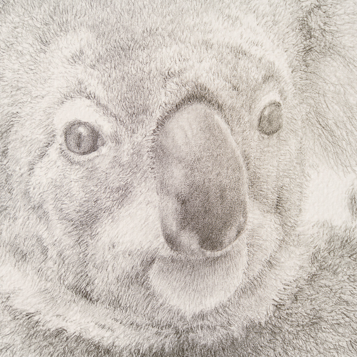 PHI SLE WWL 14201 Backpacker P Hildi 2