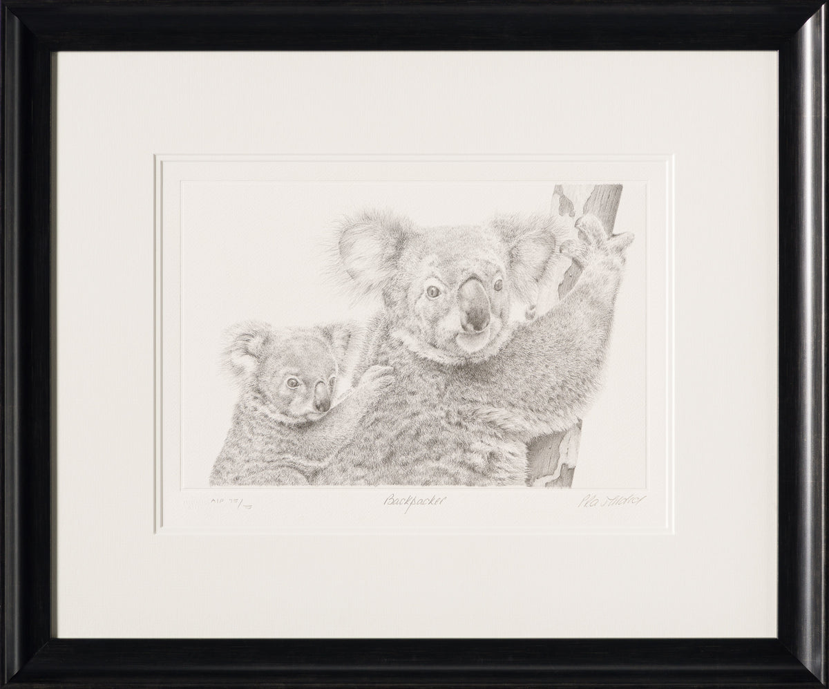 PHI SLE WWL 14201 Backpacker P Hildi 30