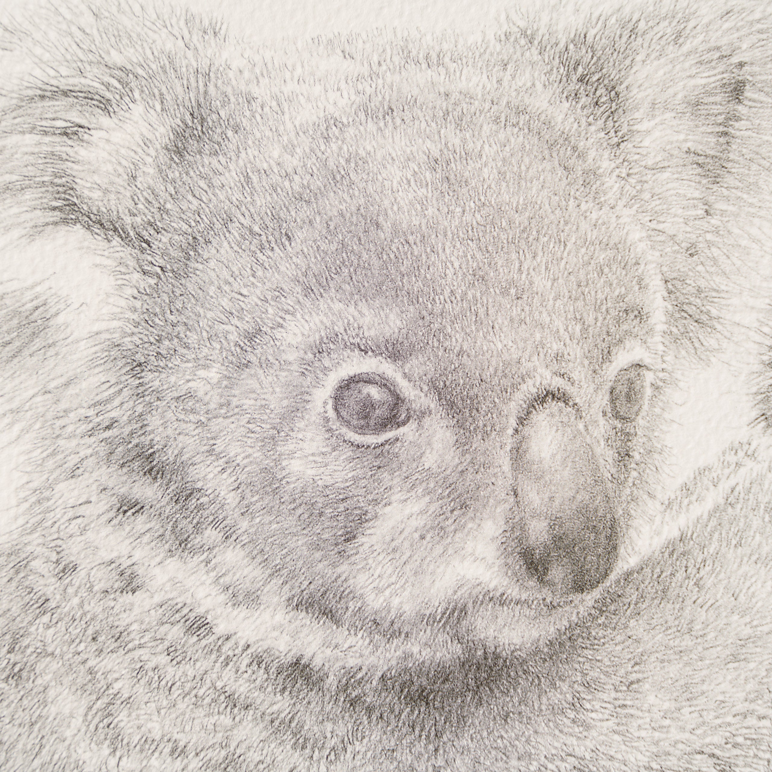 PHI SLE WWL 14201 Backpacker P Hildi 3