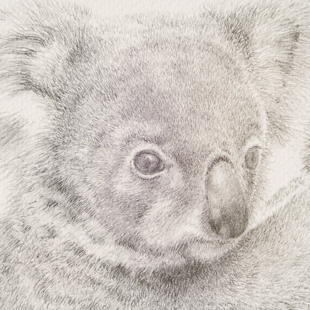 PHI SLE WWL 14201 Backpacker P Hildi 3