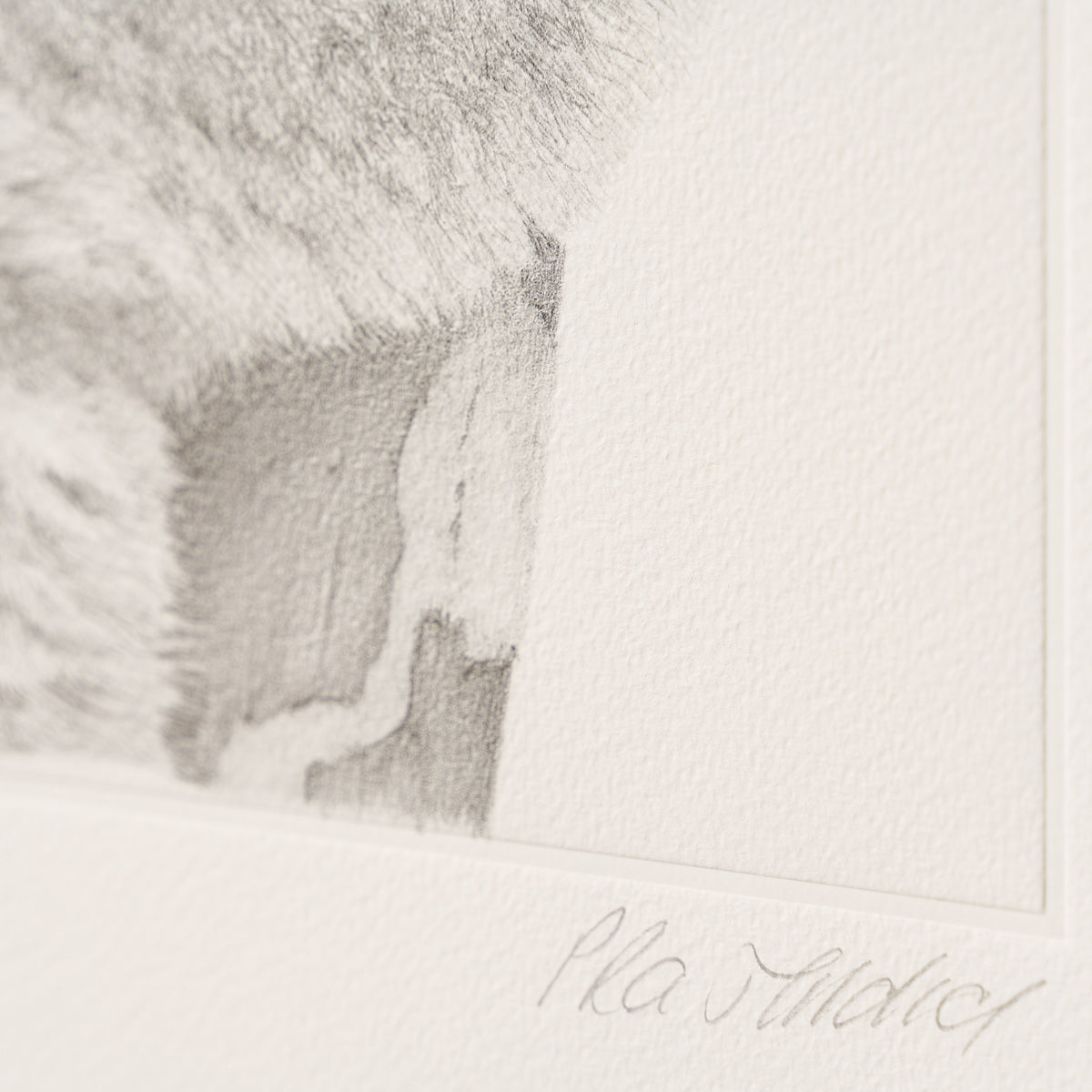 PHI SLE WWL 14201 Backpacker P Hildi 4