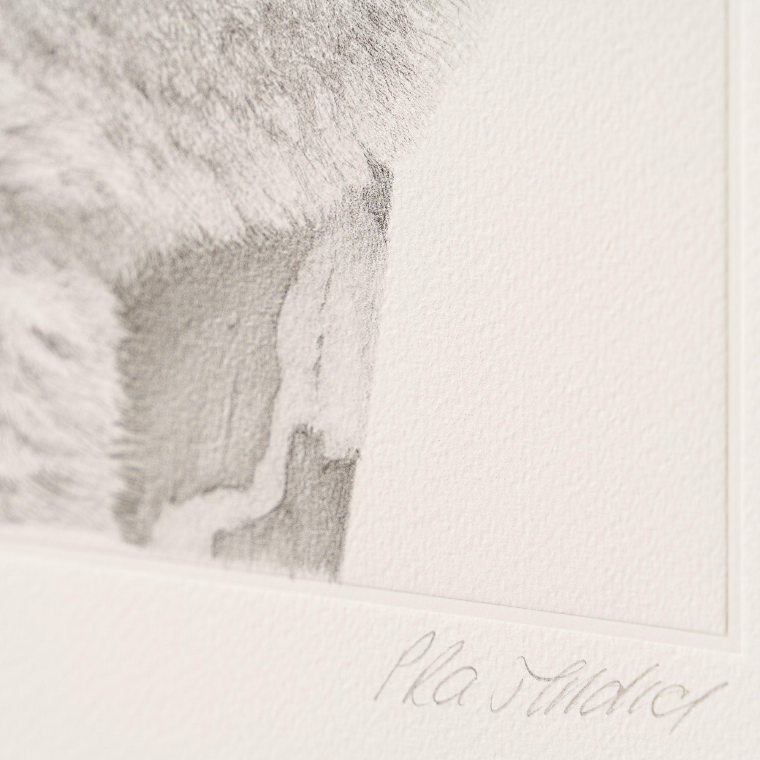 PHI SLE WWL 14201 Backpacker P Hildi 4