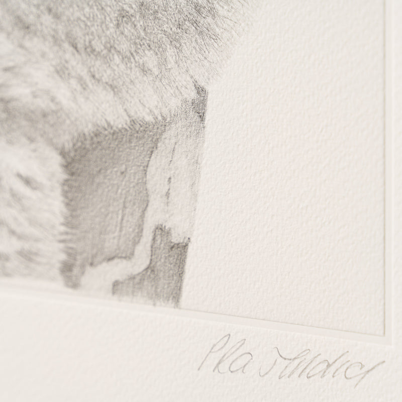 PHI SLE WWL 14201 Backpacker P Hildi 4