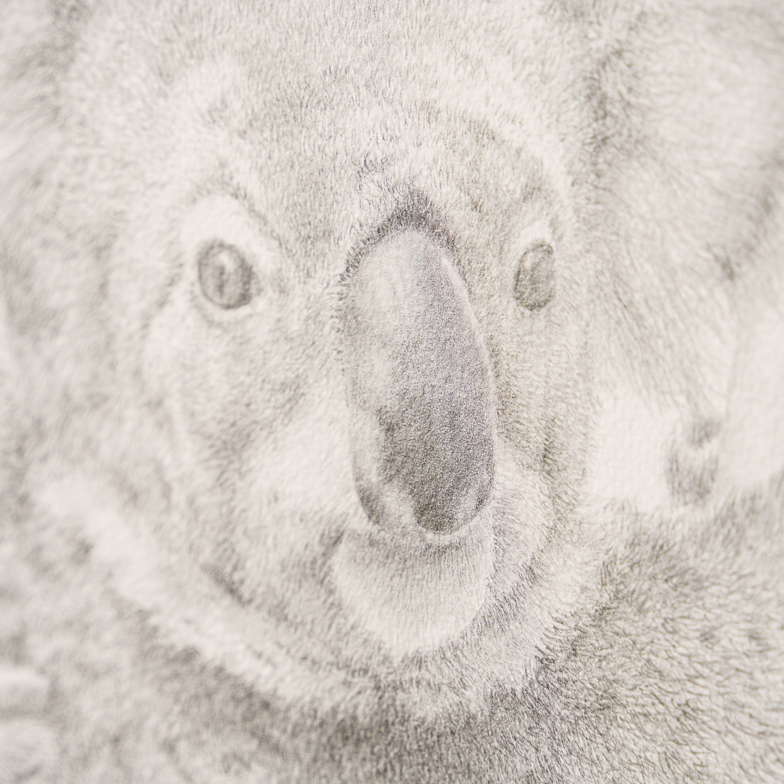 PHI SLE WWL 14201 Backpacker P Hildi 5