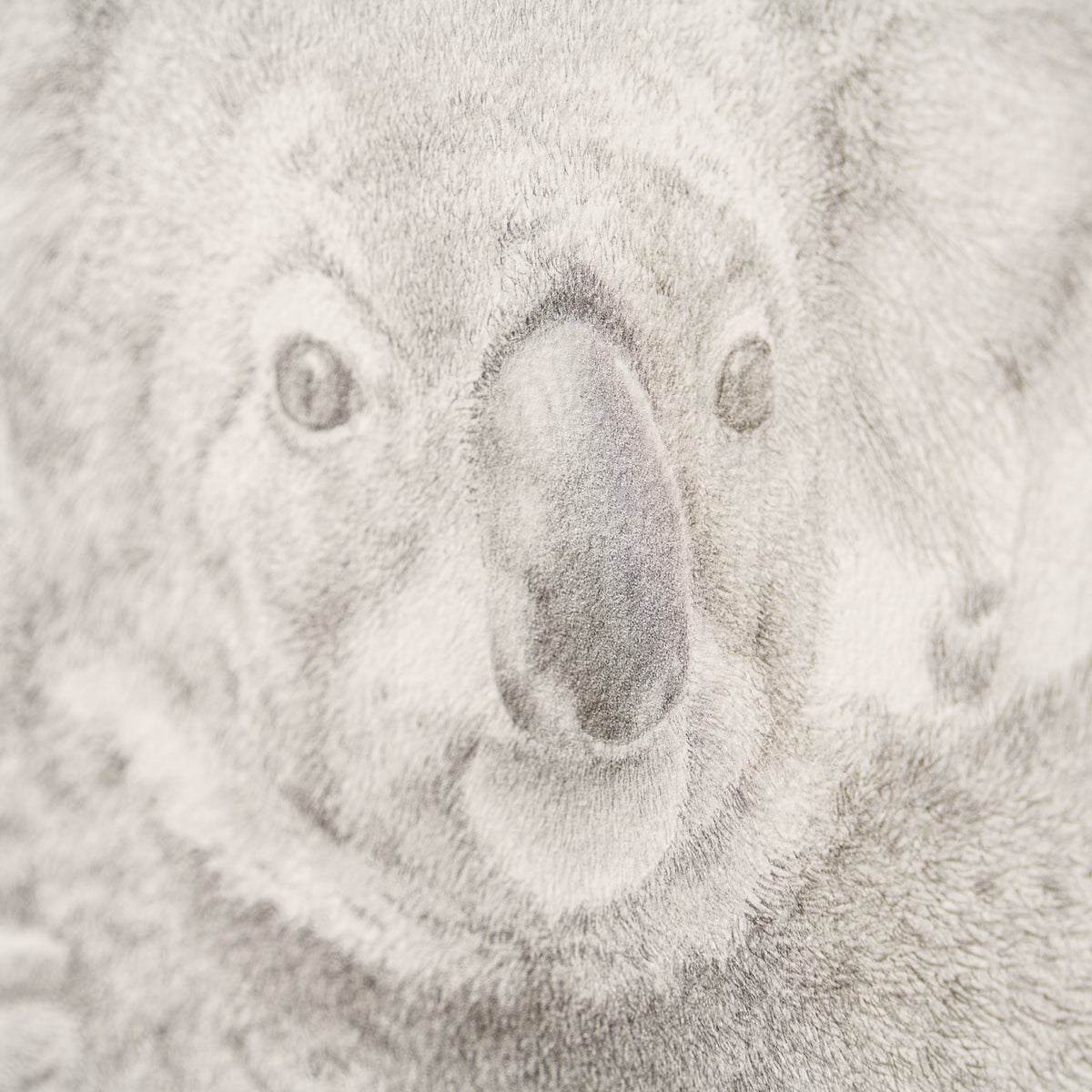 PHI SLE WWL 14201 Backpacker P Hildi 5