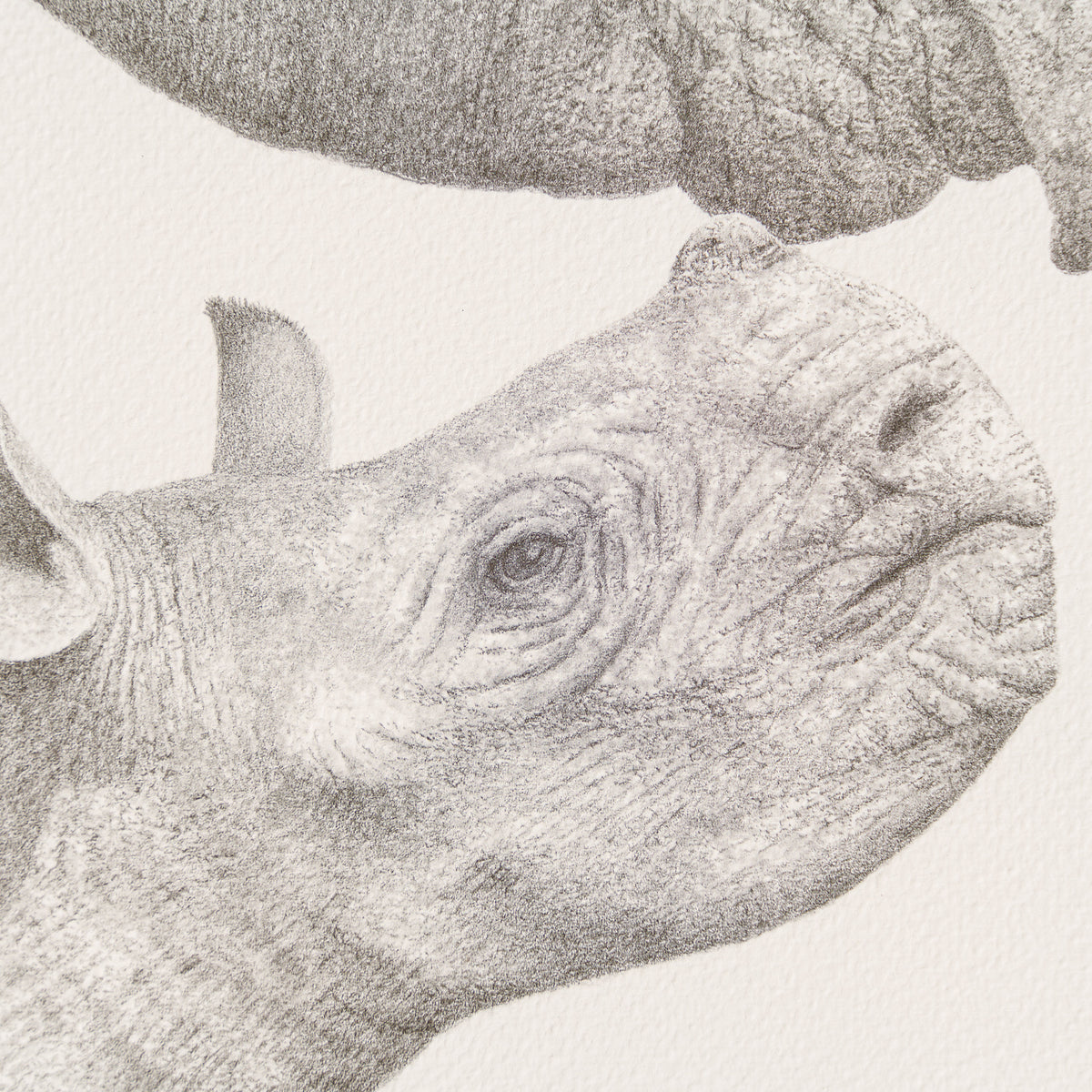 PHI SLE WWL 14203 Kiss Me P Hildick 2