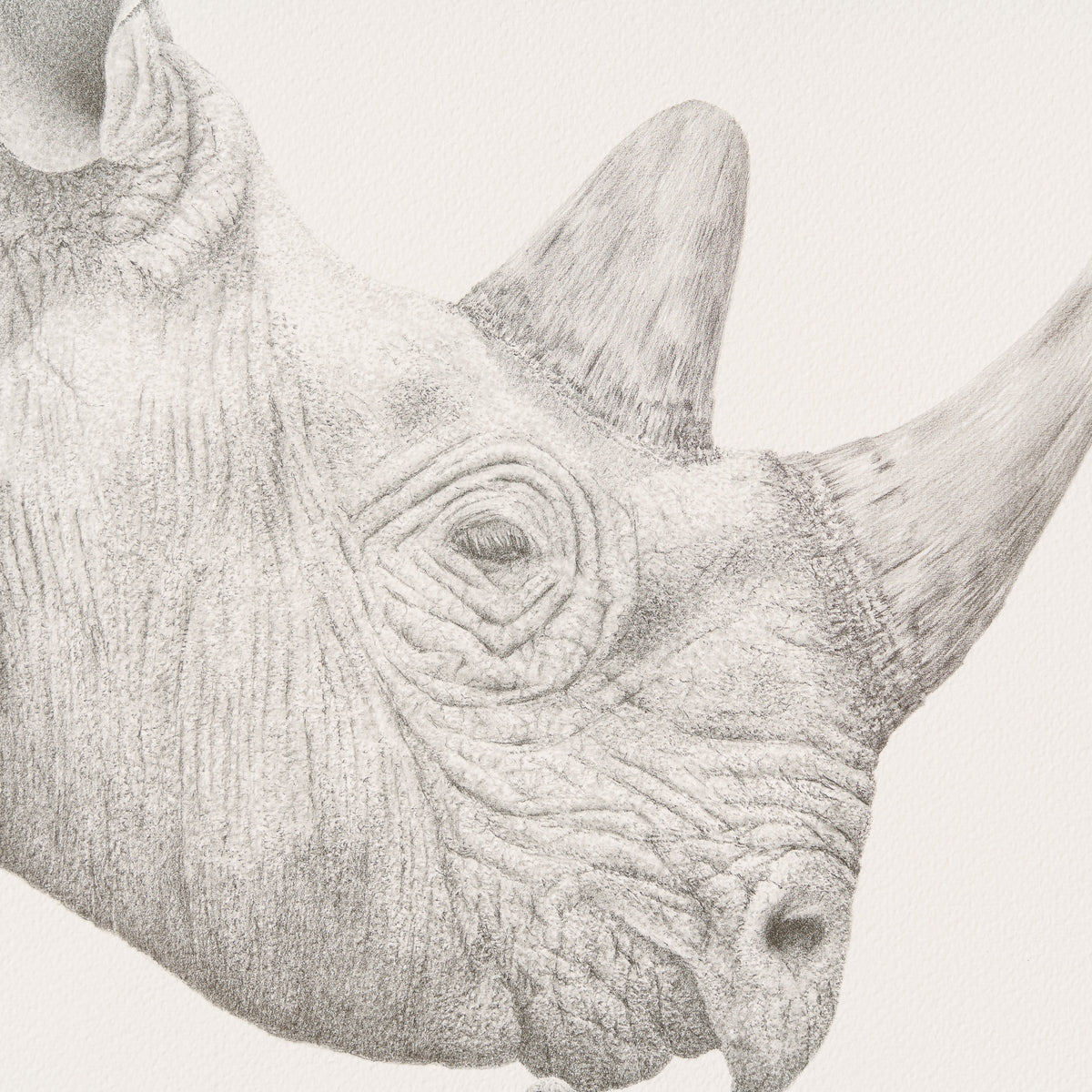 PHI SLE WWL 14203 Kiss Me P Hildick 3