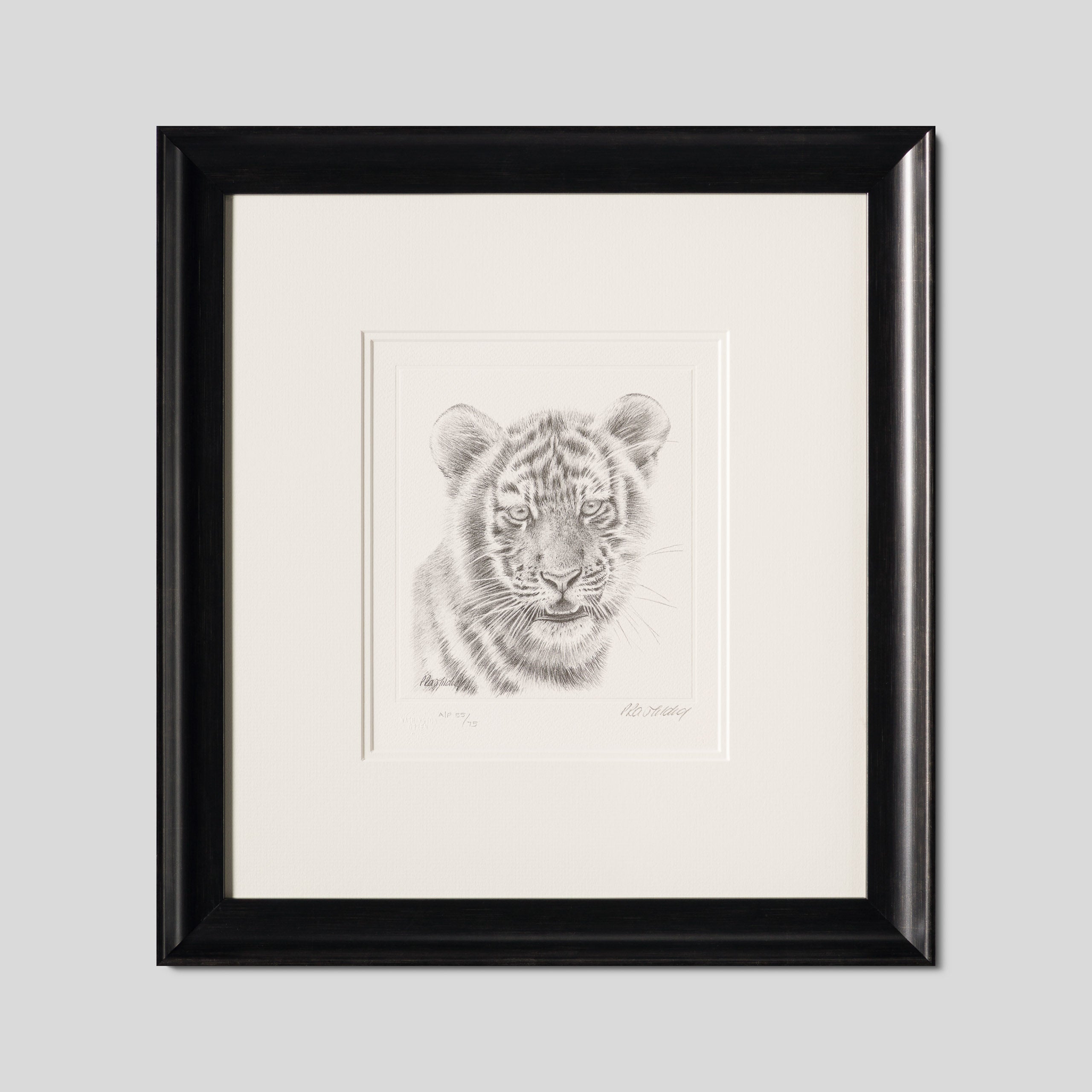 PHI SLE WWL 14747 Tiger Study P Hild 1