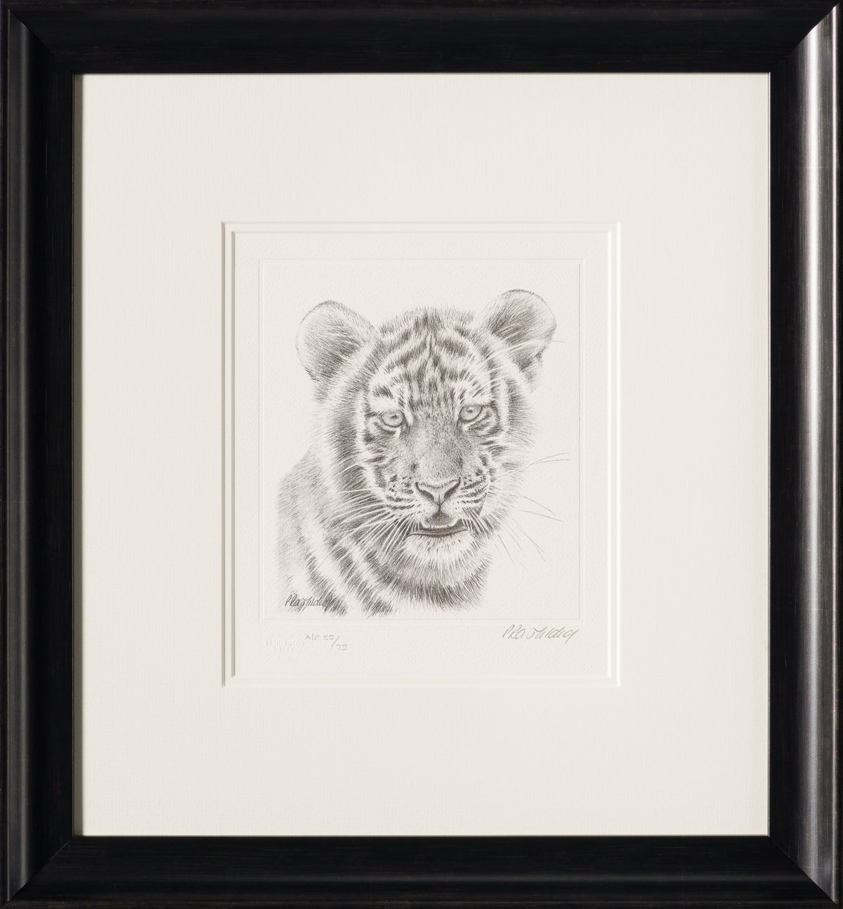 PHI SLE WWL 14747 Tiger Study P Hild 30