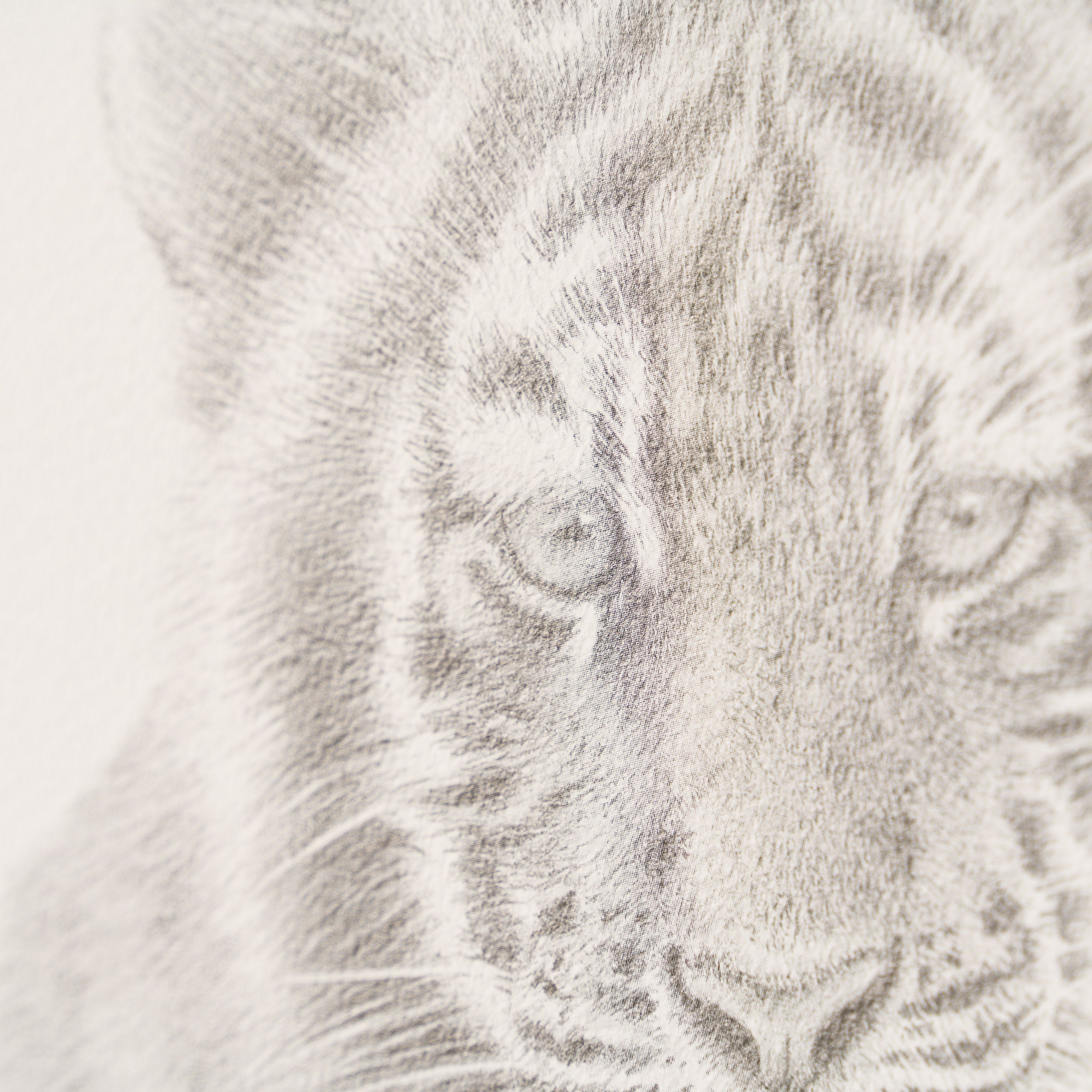 PHI SLE WWL 14747 Tiger Study P Hild 4