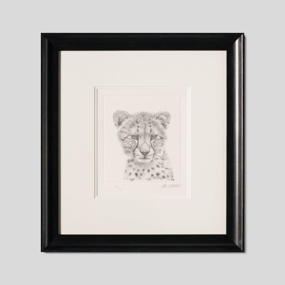 PHI SLE WWL 14749 Cheetah Study P Hi 1