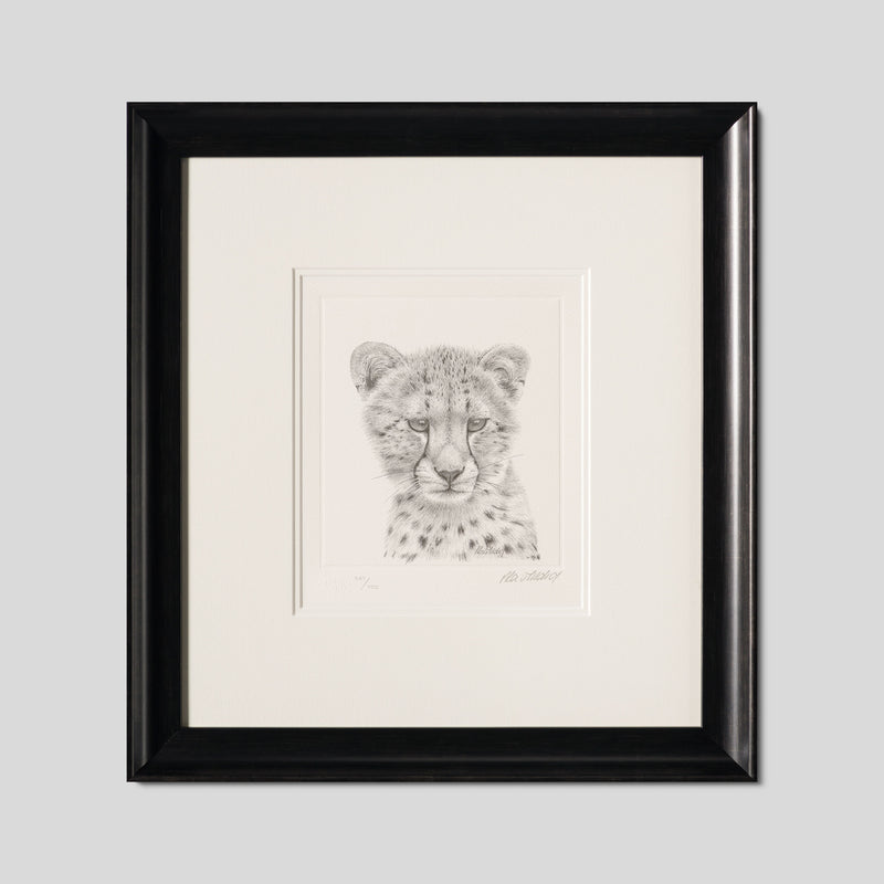 PHI SLE WWL 14749 Cheetah Study P Hi 1