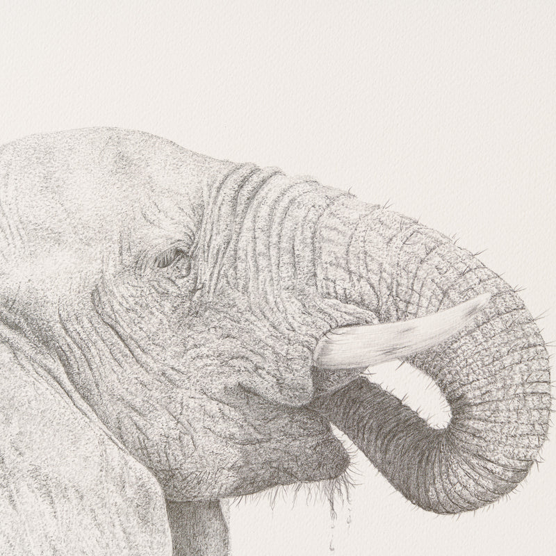 PHI SLE WWL 14750 Just A Quick One P 2