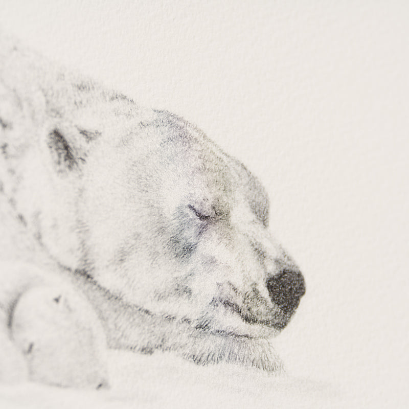 PHI SLE WWL 14970 Forty Winks P Hild 4