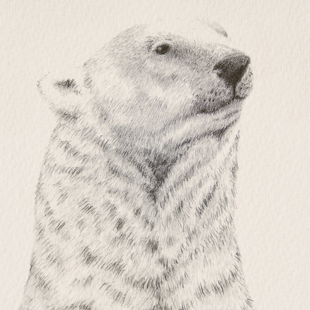 PHI SLE WWL 15878 Cold Feet P Hildic 2