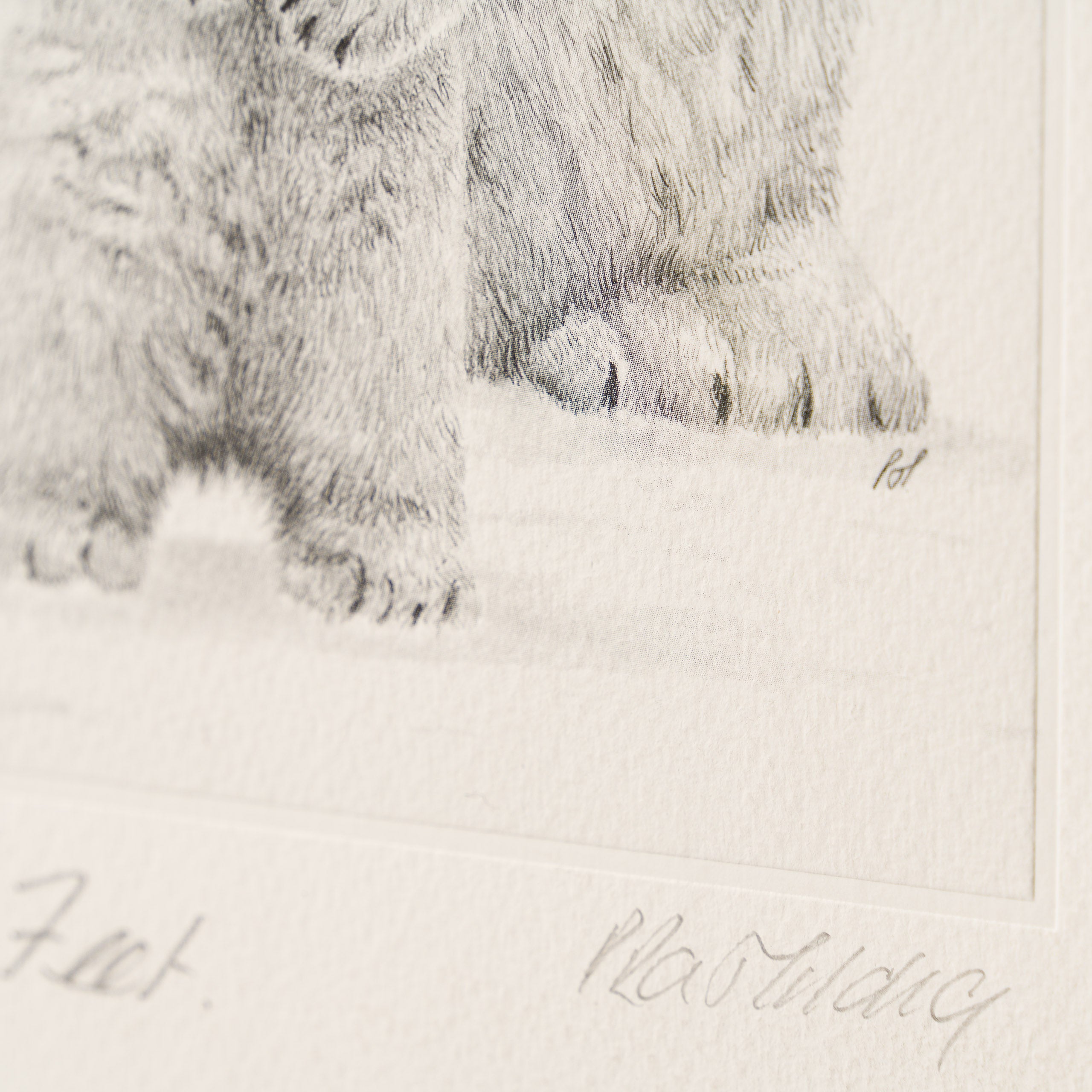 PHI SLE WWL 15878 Cold Feet P Hildic 4