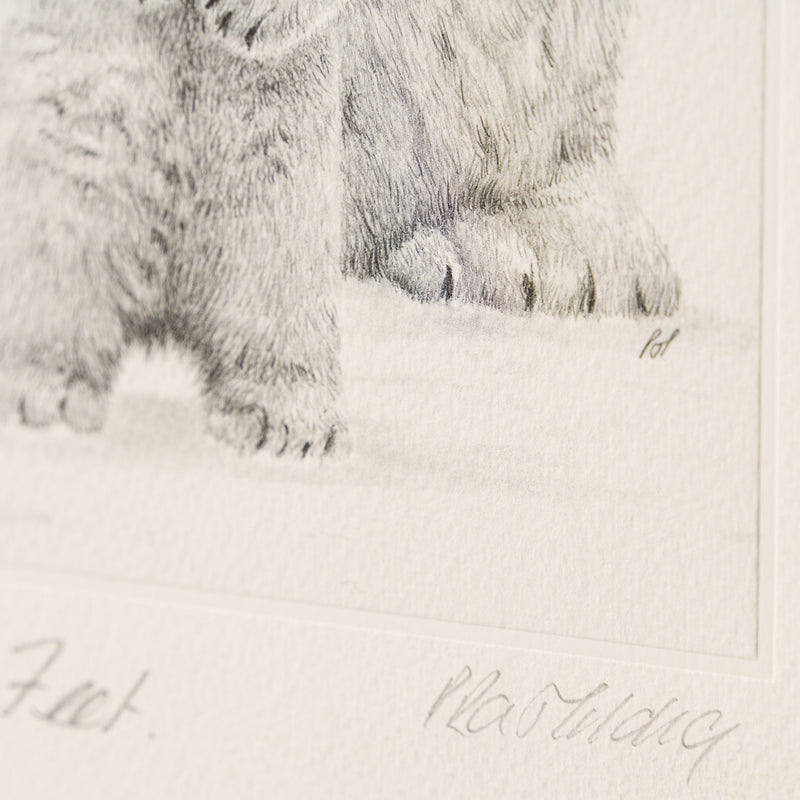 PHI SLE WWL 15878 Cold Feet P Hildic 4