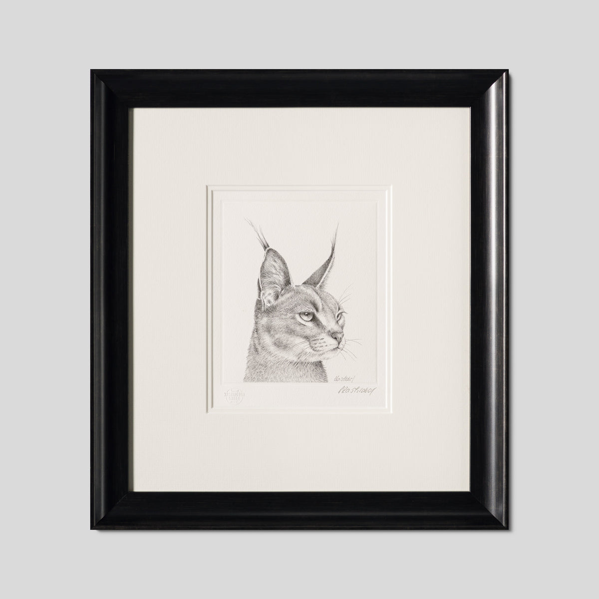 PHI SLE WWL 15880 Caracal Study P Hi 1