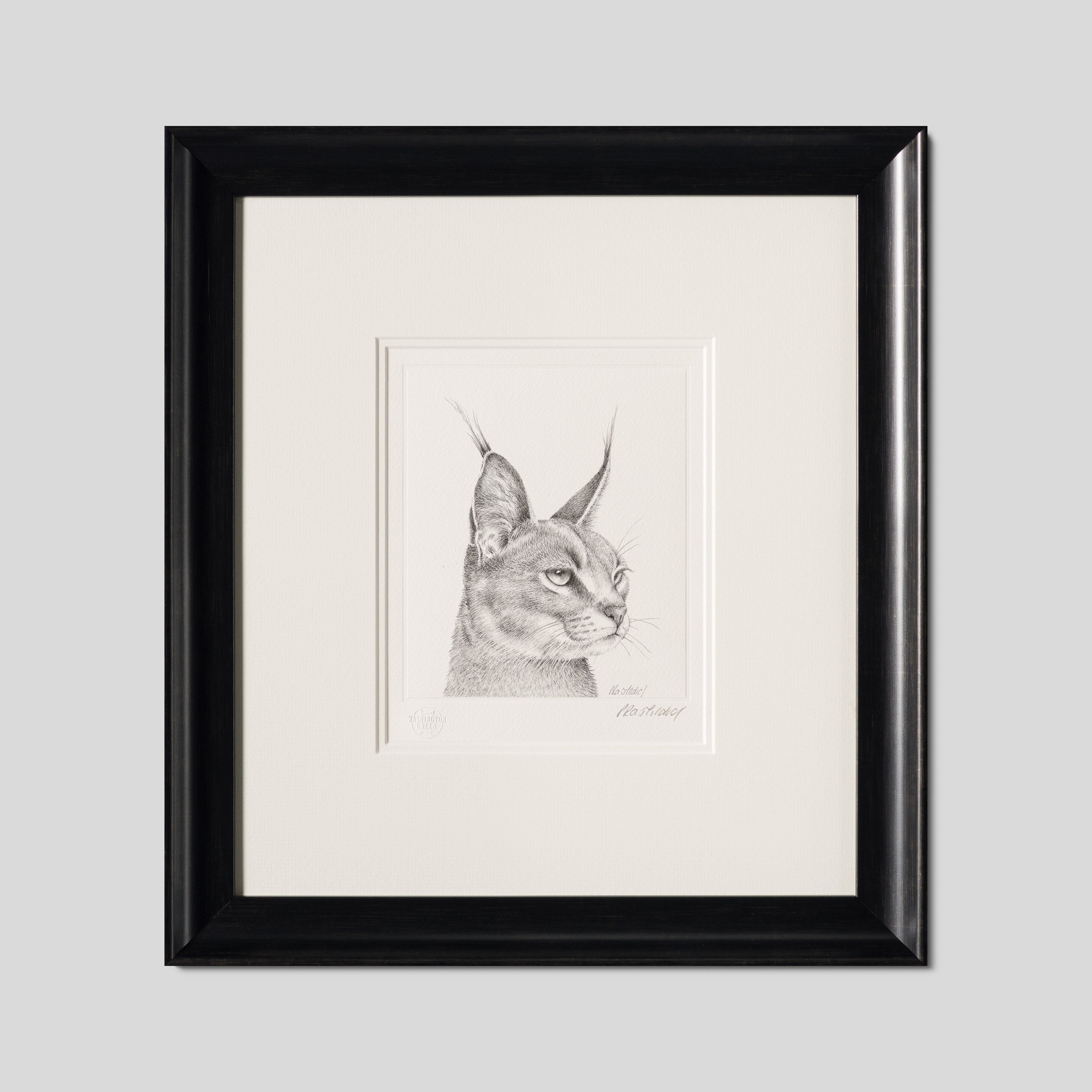 PHI SLE WWL 15880 Caracal Study P Hi 1