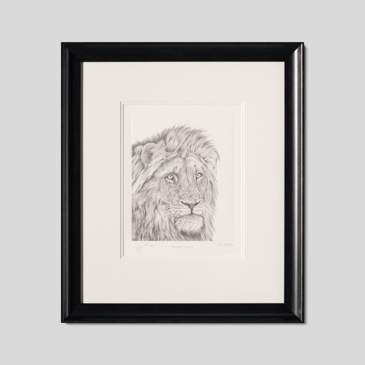 PHI SLE WWL 16494 Okavango Warrior H 1