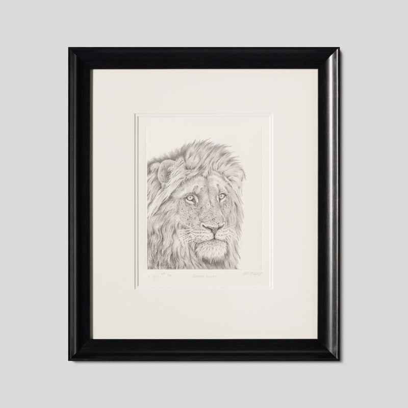 PHI SLE WWL 16494 Okavango Warrior H 1