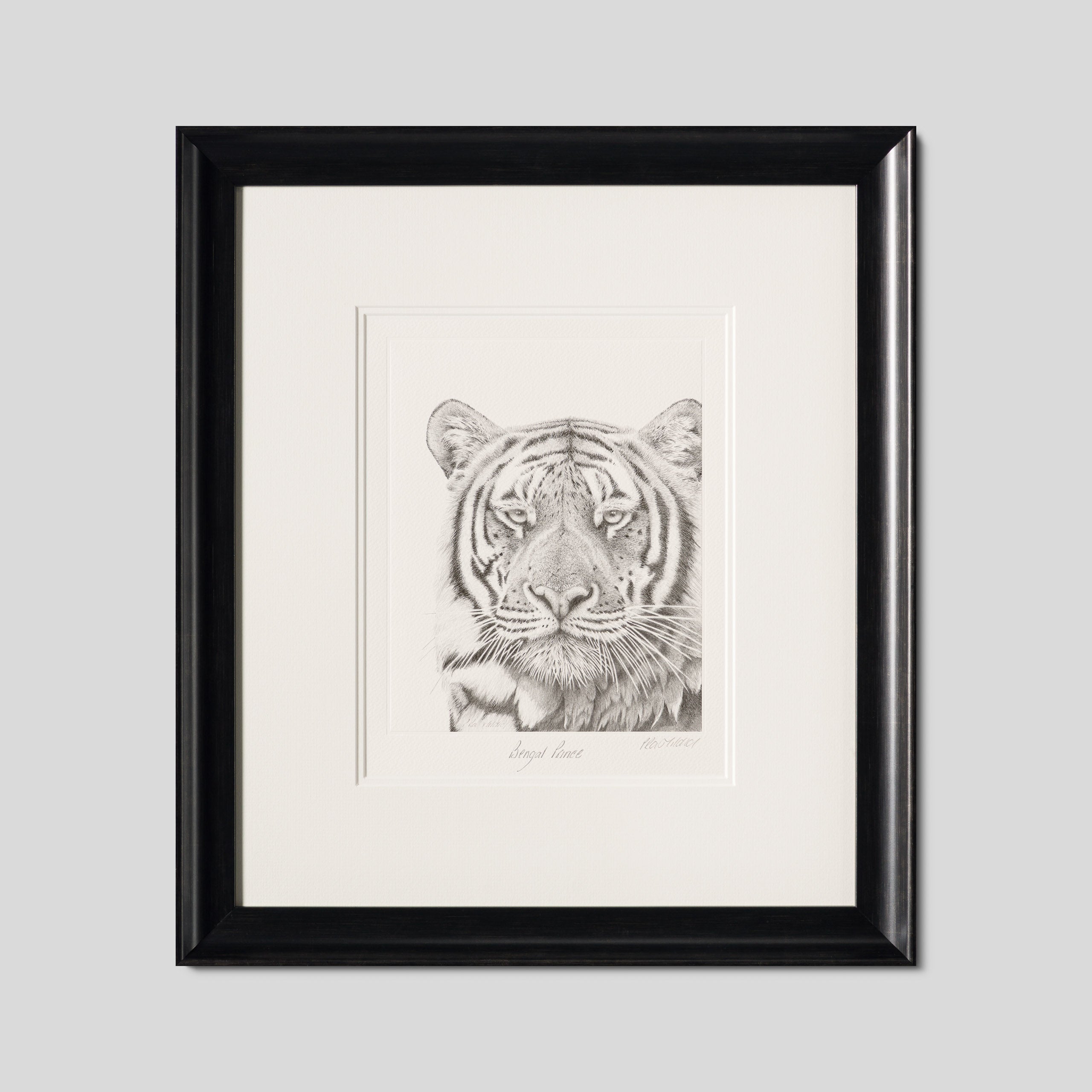 PHI SLE WWL 16495 Prince Bengal Hild 1