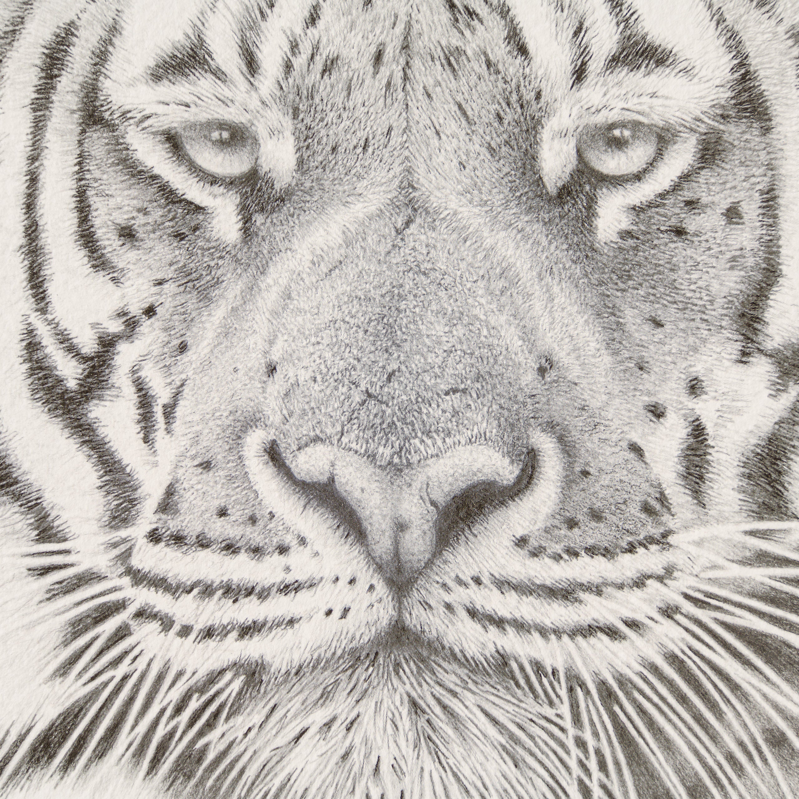 PHI SLE WWL 16495 Prince Bengal Hild 2