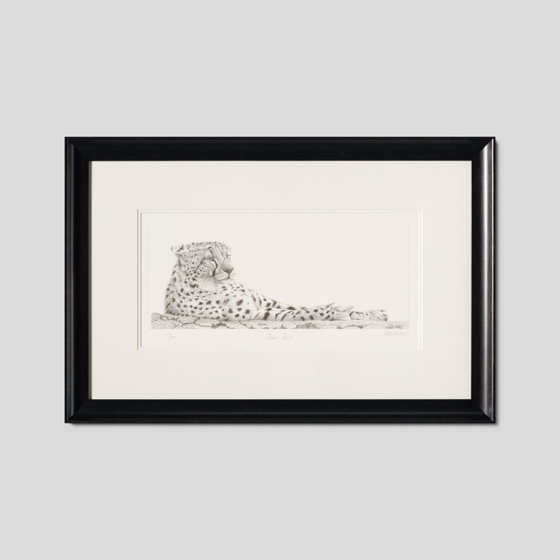 PHI SLE WWL 16496 Take Five Hildick 1