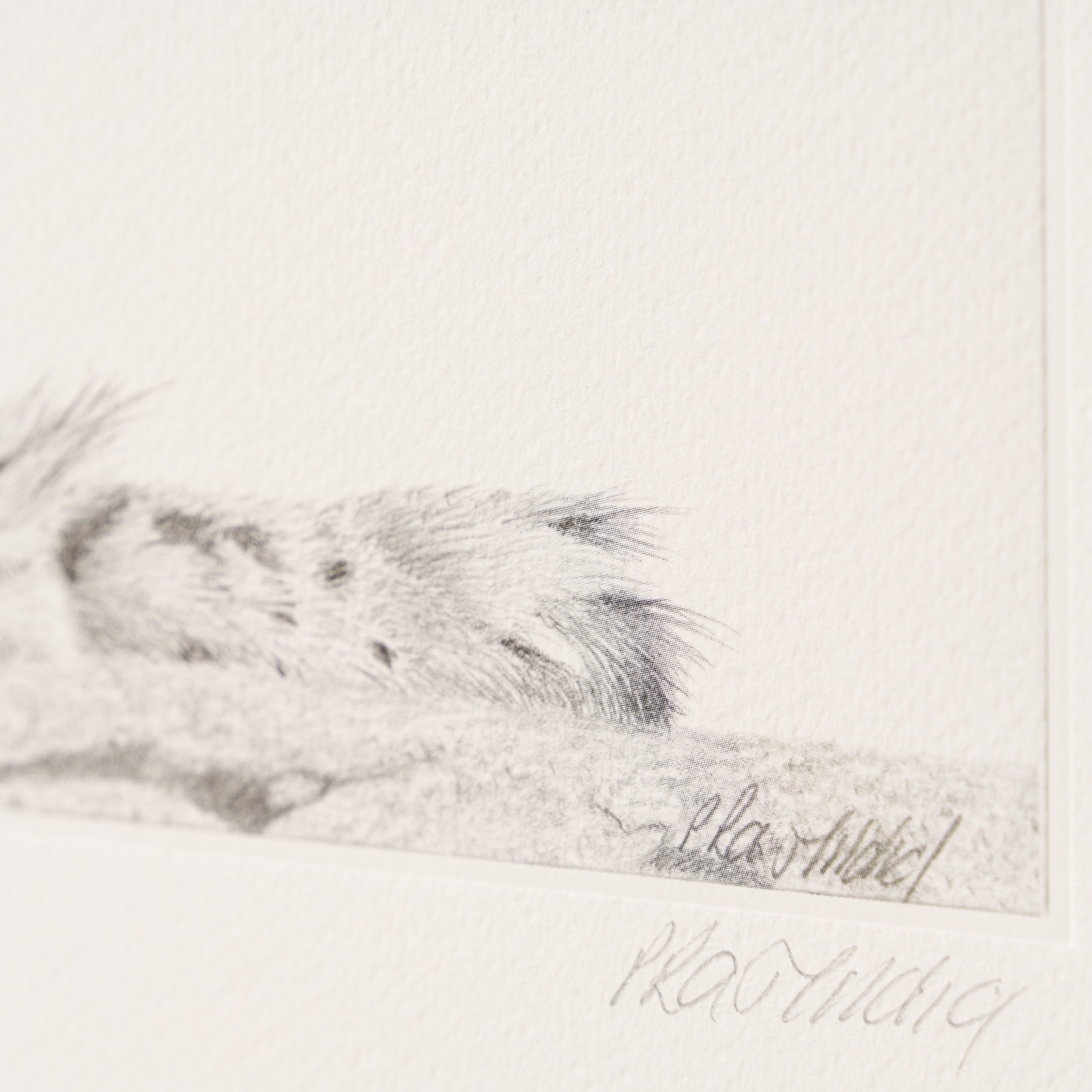 PHI SLE WWL 16496 Take Five Hildick 3