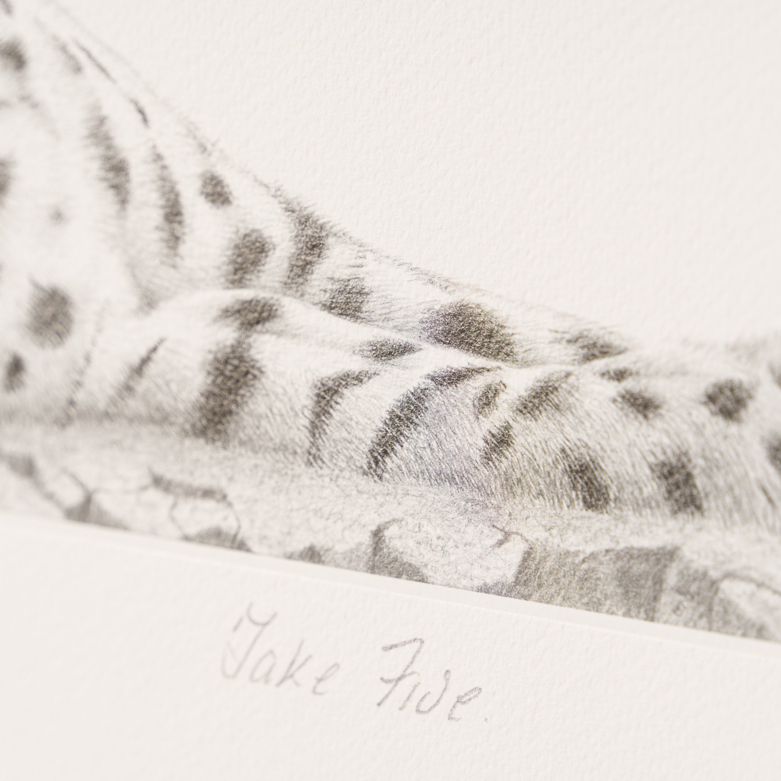 PHI SLE WWL 16496 Take Five Hildick 4