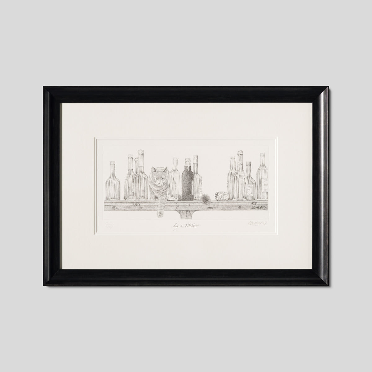 PHI SLE WWL 16497 By A Whisker Hildi 1