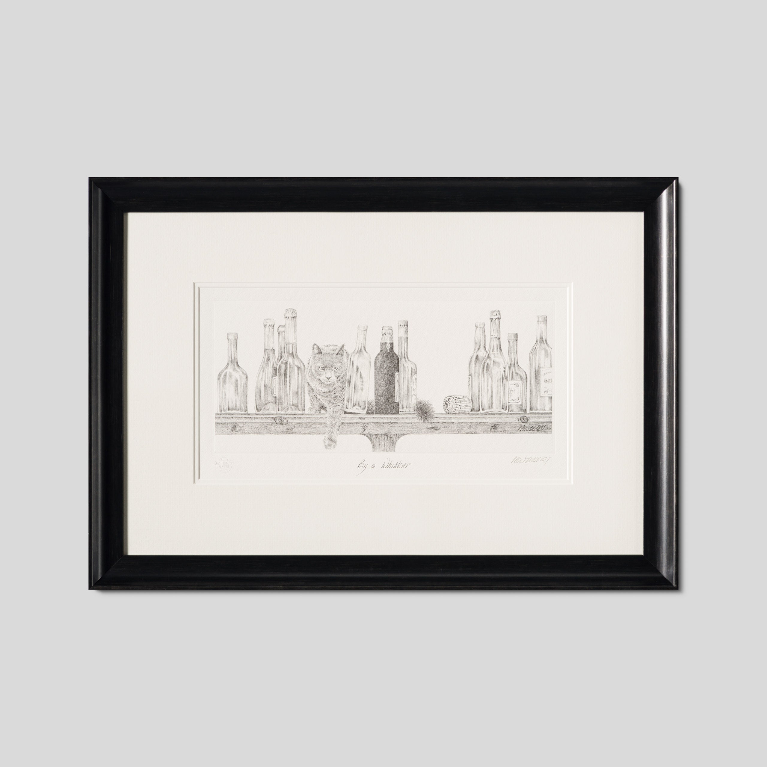 PHI SLE WWL 16497 By A Whisker Hildi 1