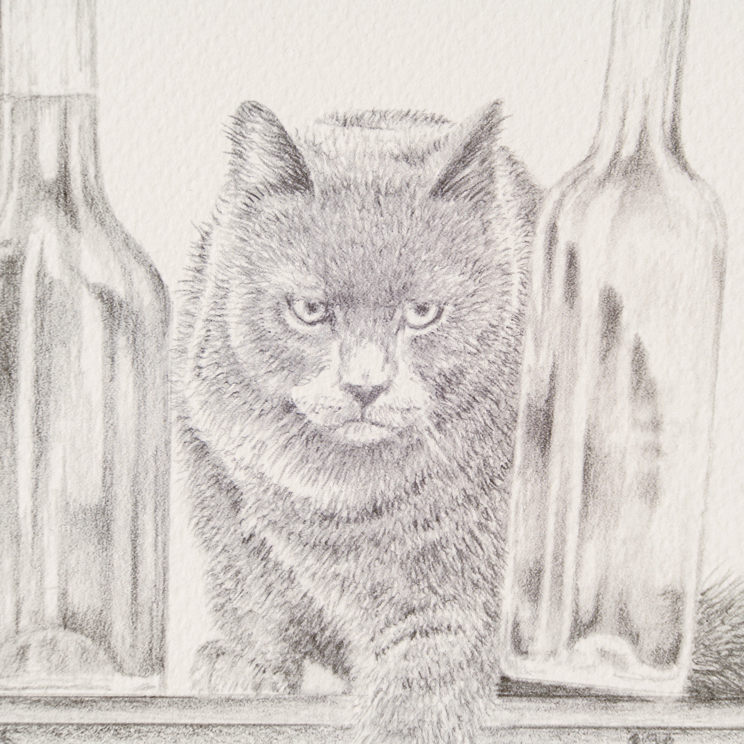 PHI SLE WWL 16497 By A Whisker Hildi 2