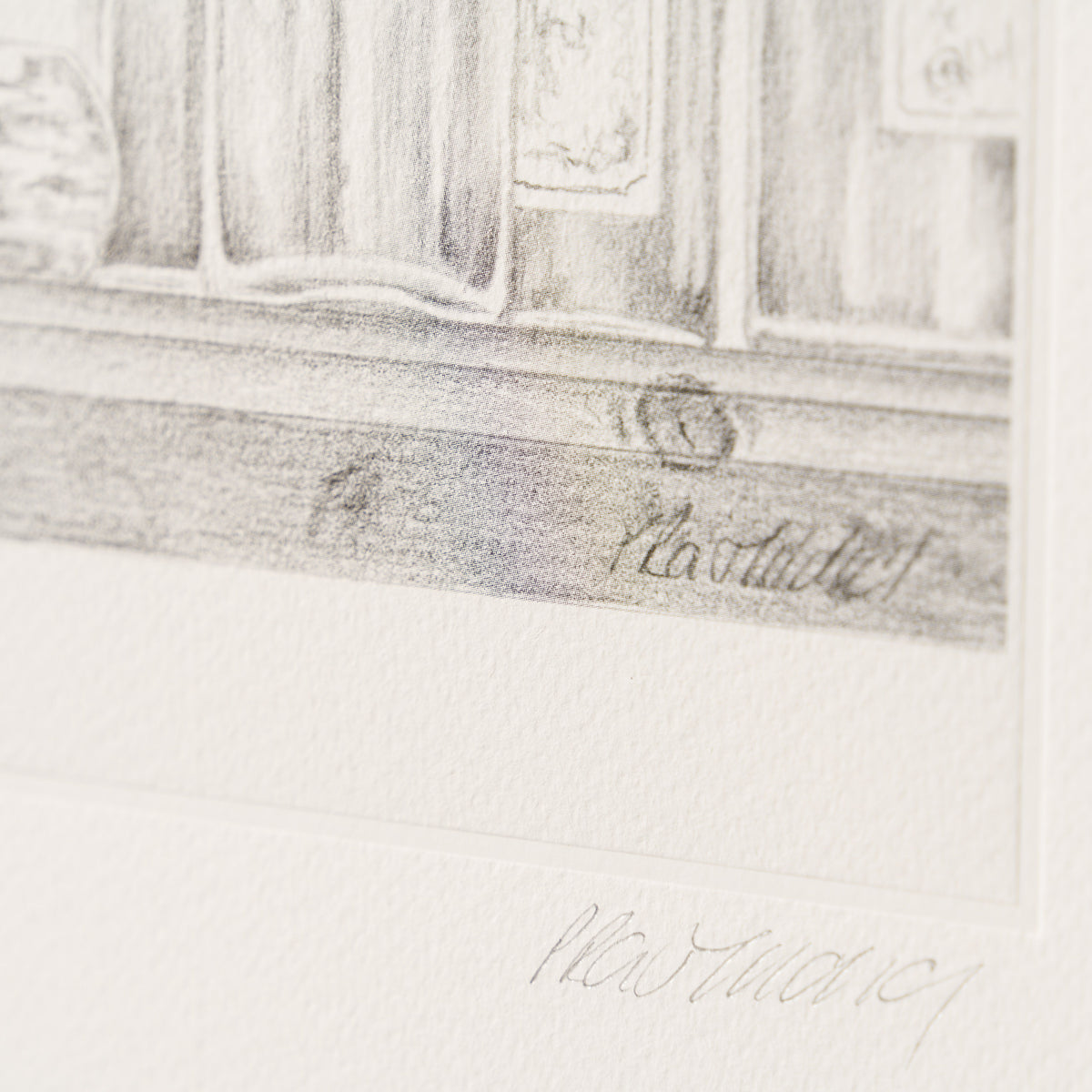 PHI SLE WWL 16497 By A Whisker Hildi 3