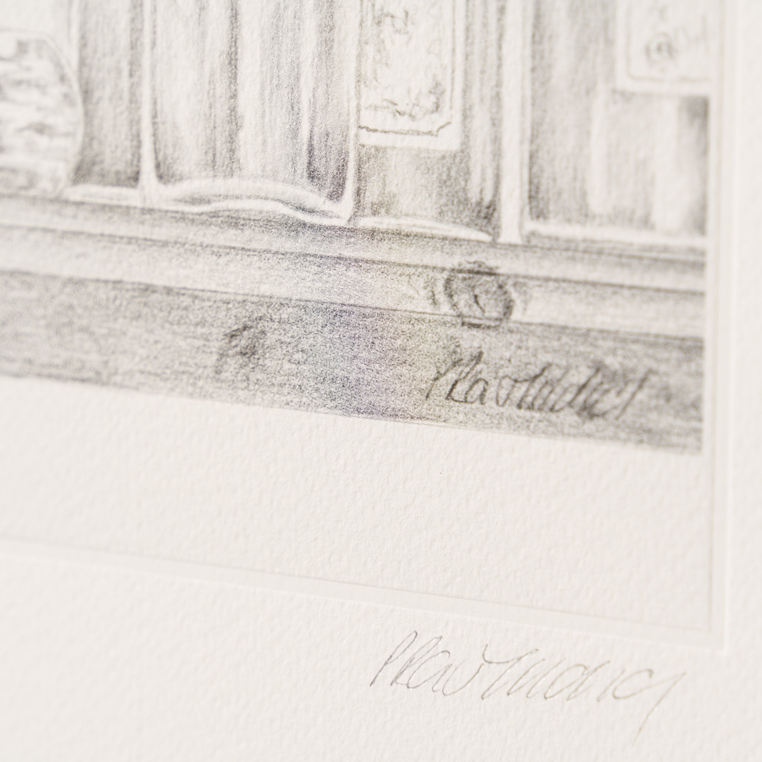 PHI SLE WWL 16497 By A Whisker Hildi 3