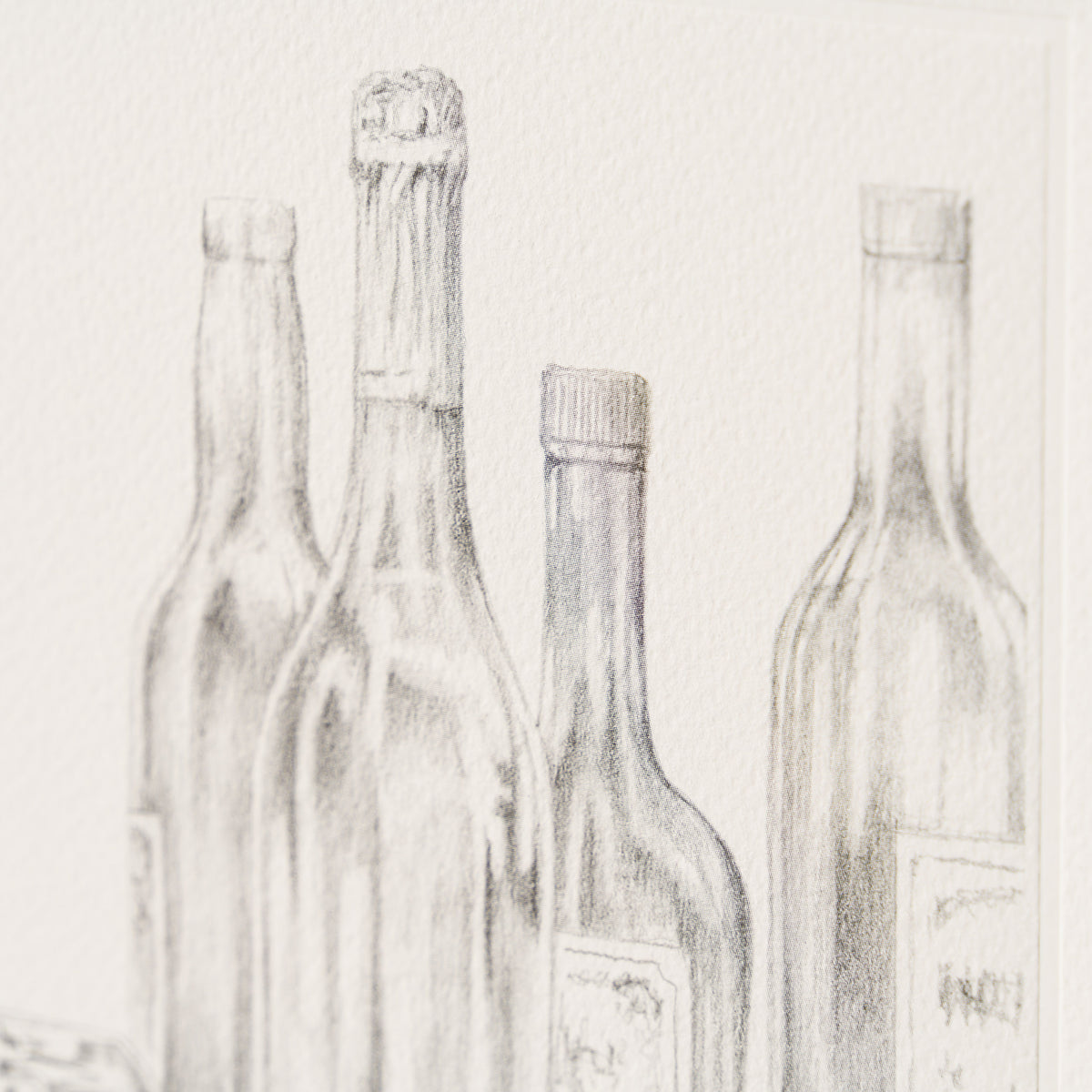 PHI SLE WWL 16497 By A Whisker Hildi 4