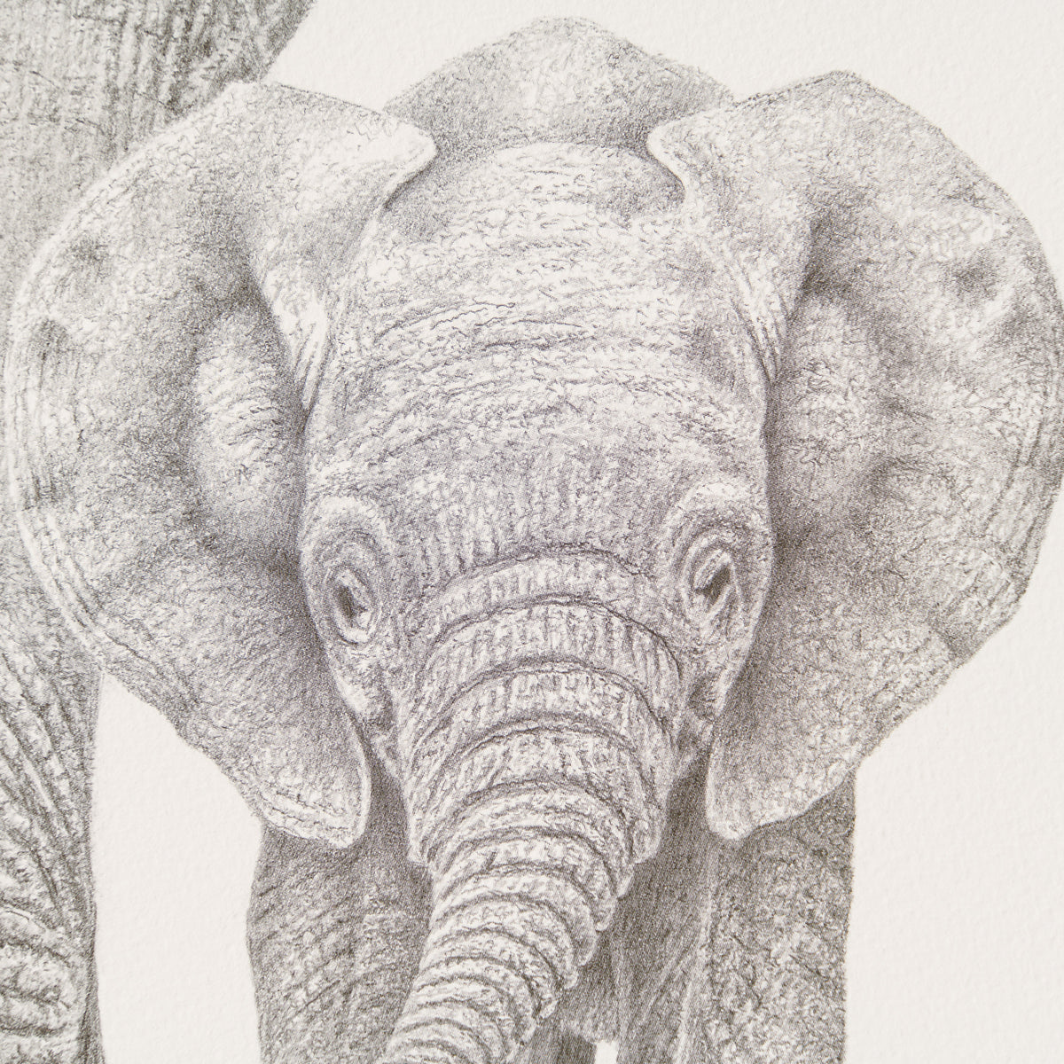 PHI SLE WWL 17279 Baby Makes Three P 2